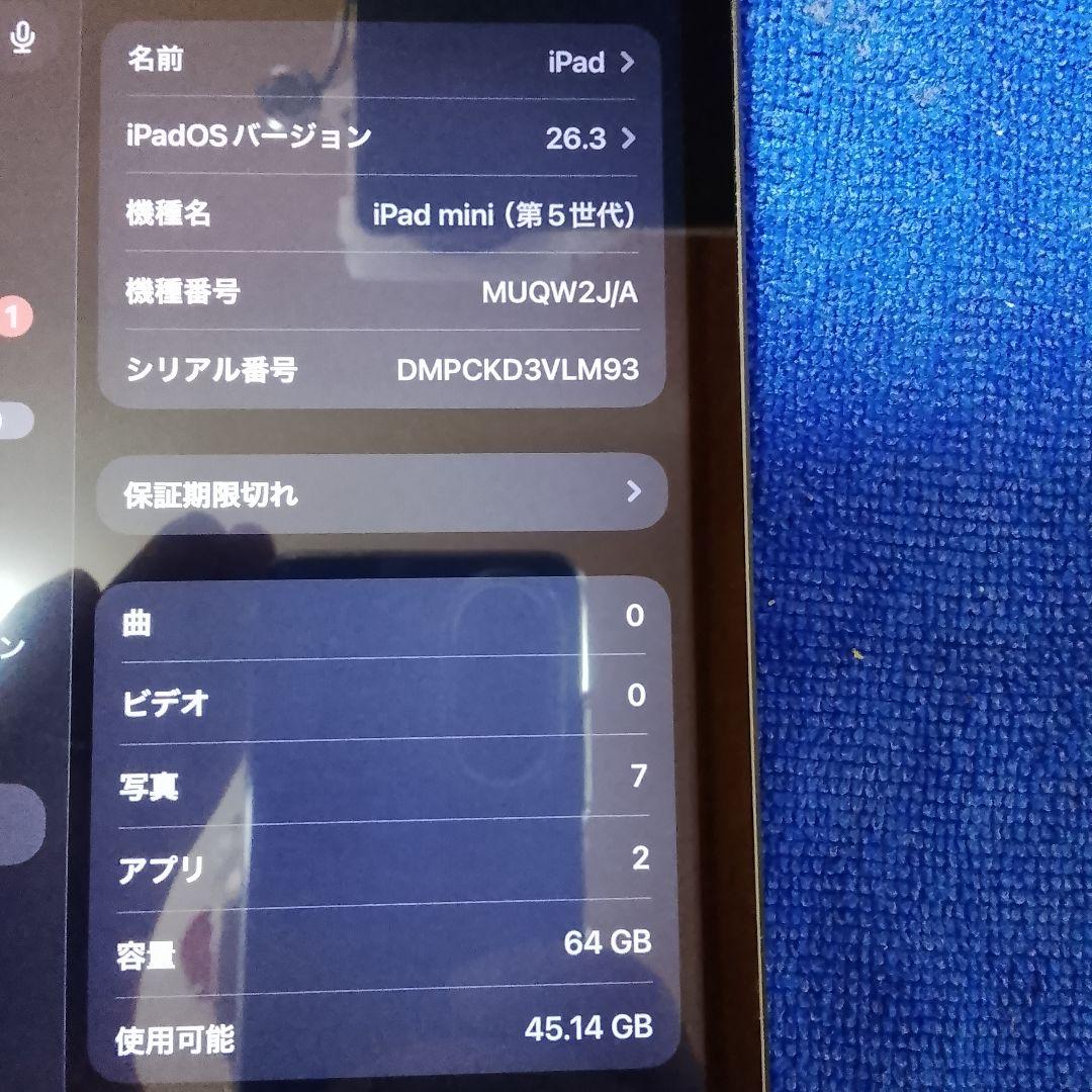 iPad Mini 5 本体 ジャンク