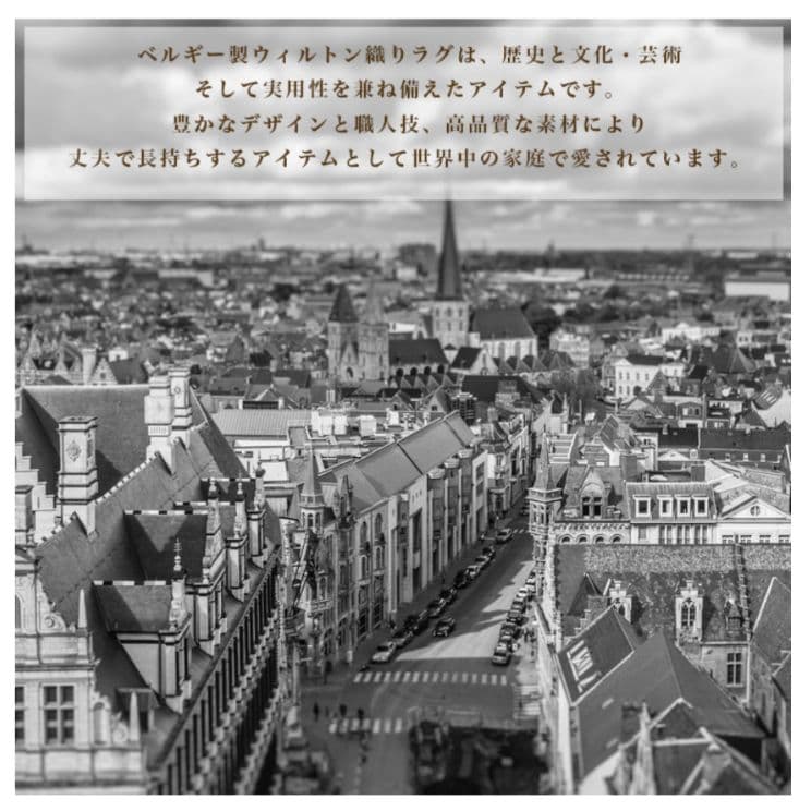 ORNAMENTRUGヴィンテージクラシックデザインベルギー産ラグブラックグレー