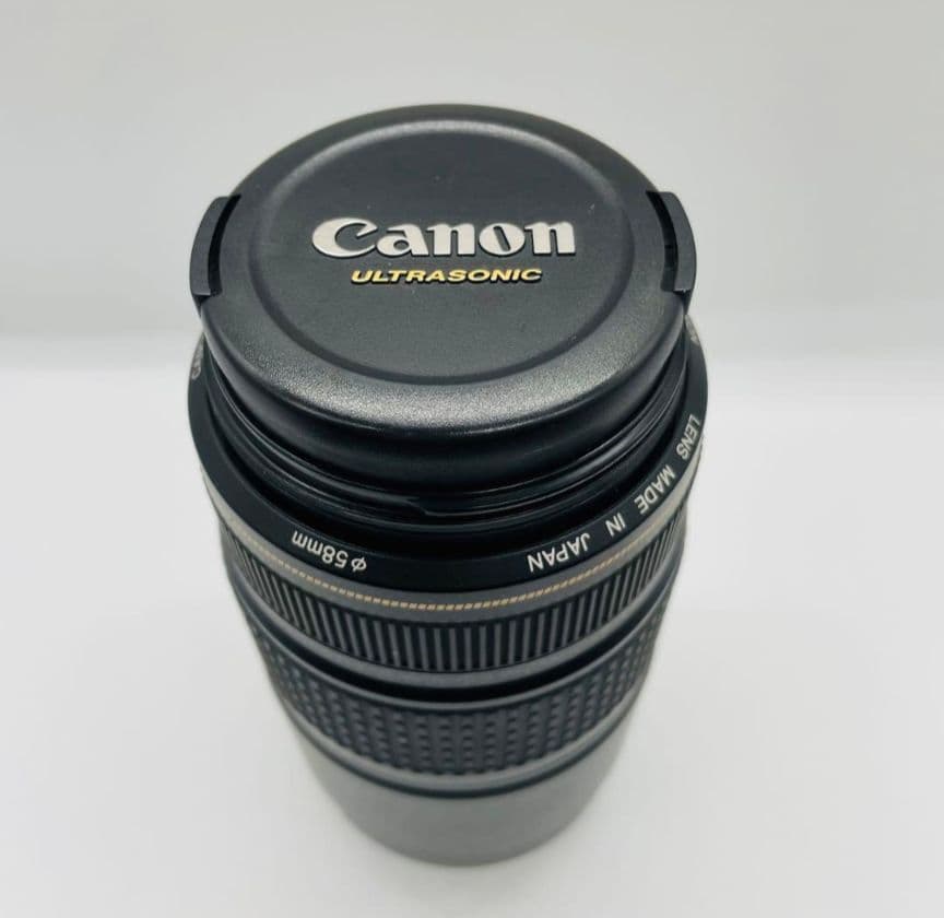 Canon EF 75-300mm IS USM 手振れ補正付き 望遠レンズ
