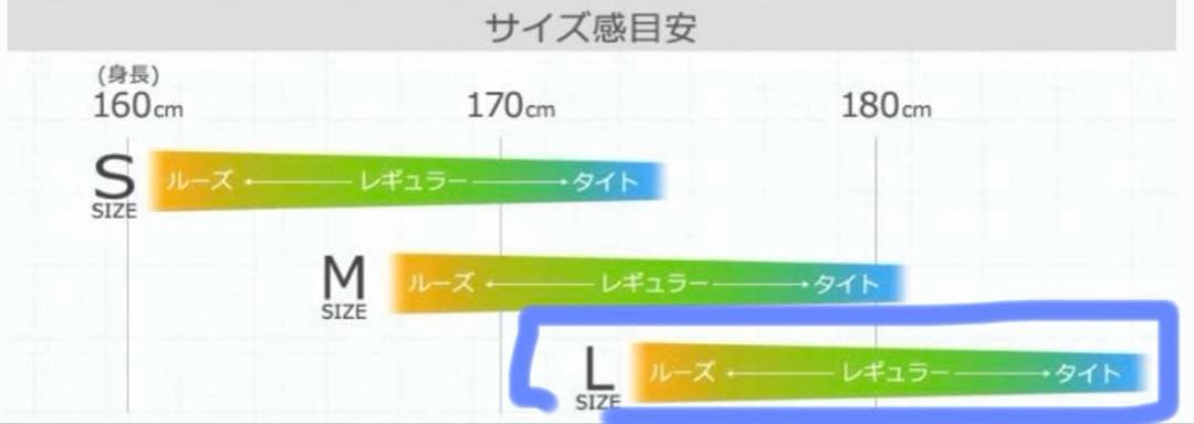 【超美品】 VOLCOM ボルコム　L GORE-TEX　ゴアテックス 黒　XL