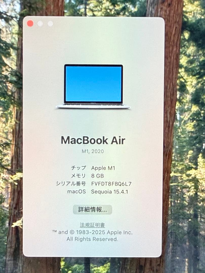 【即購入可】Apple MacBook Air 13インチ M1 シルバー