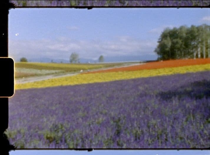 8ミリフィルムカメラ ELMO SUPER 106 作例あり フィルム付き