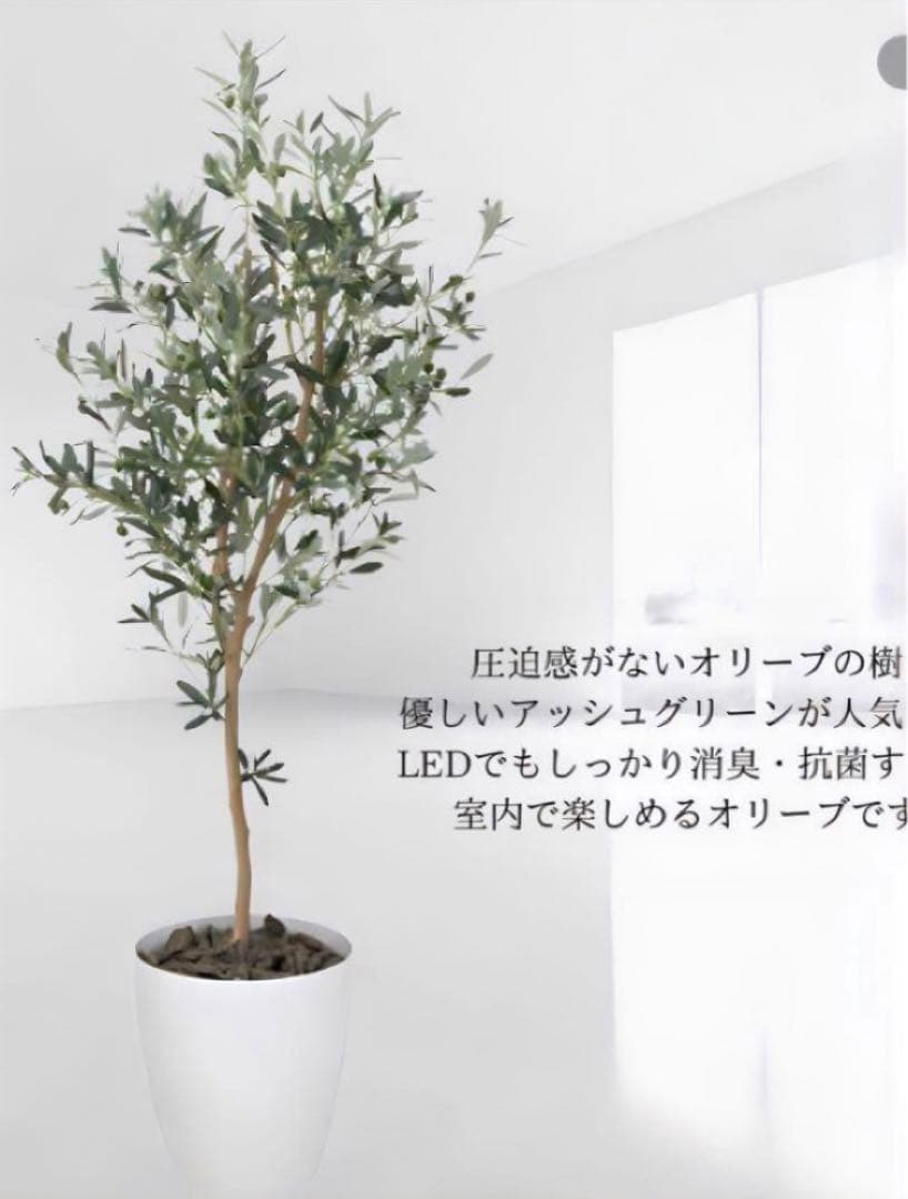 光触媒　人工観葉植物　ウォールグリーン　フェイクグリーン　オリーブ1.6