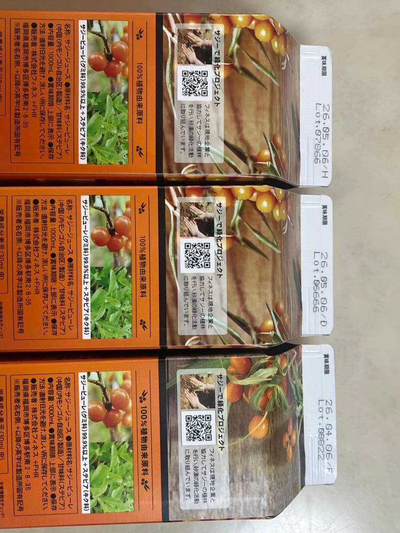 フィネス 豊潤サジー 1000mL✖️3本　サジー