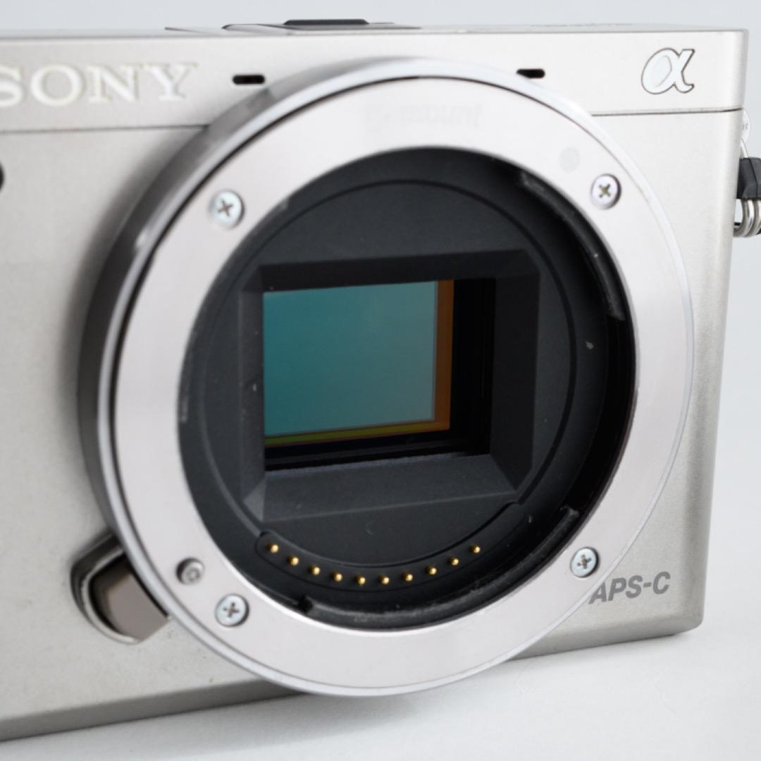 SONY α6000 + 16-50mmレンズ