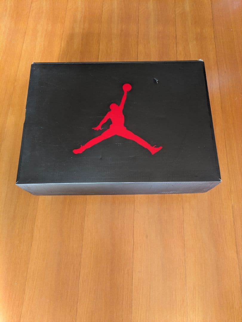 シューズ(男性用) AIR JORDAN 6 RETRO PSG