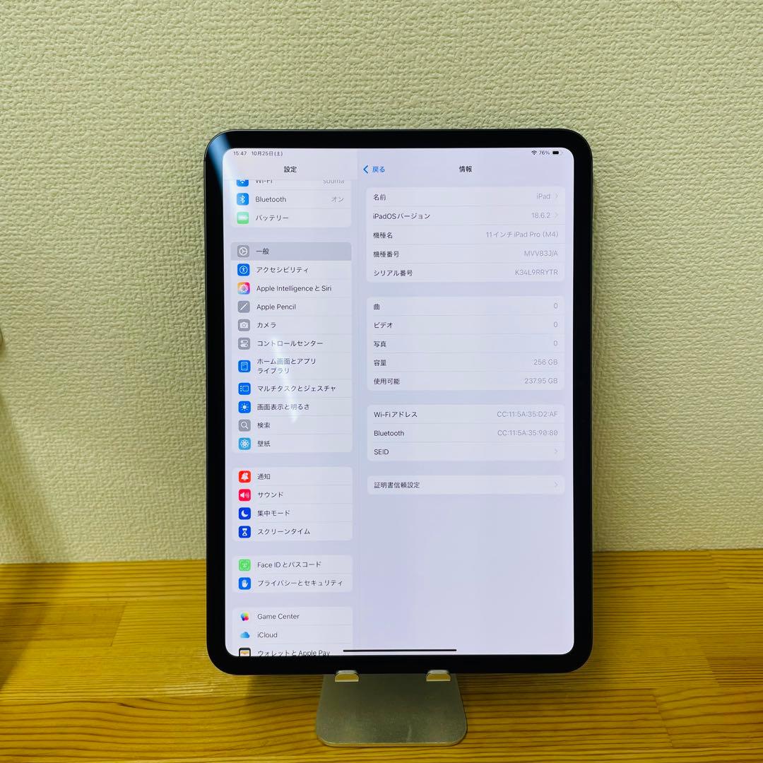 S iPad Pro 11 インチ 第5世代 256 GB Wi-Fi 本体