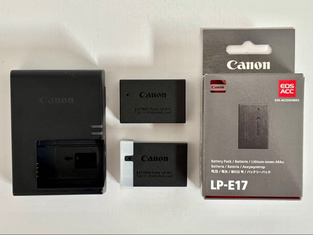 【美品】Canon EOS R10 RF-S 18-150mm f3.5-6.3