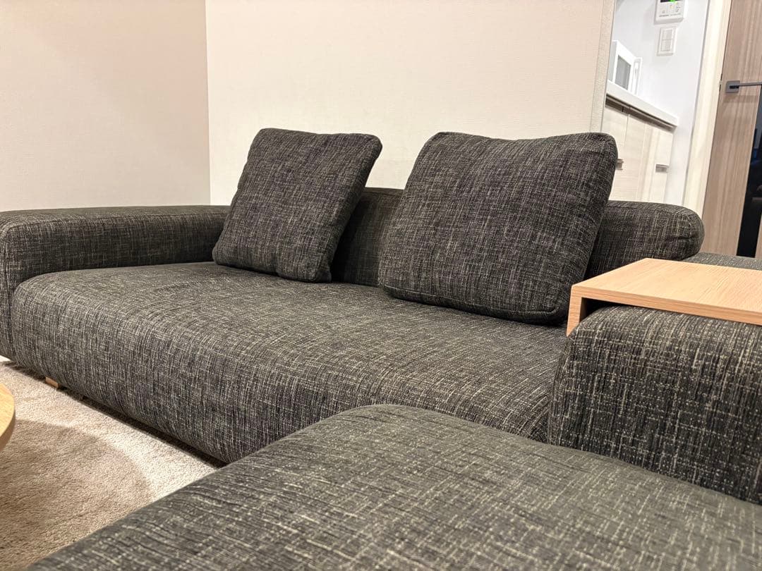 【パパイヤ】NOYESソファ ２人がけ