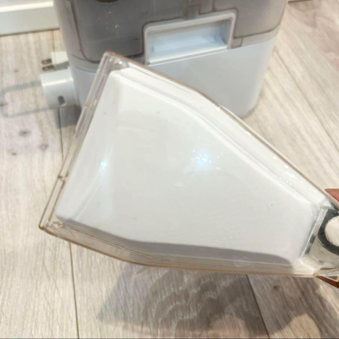 リンサークリーナー OHYAMA アイリスオーヤマ ホワイト RNS-