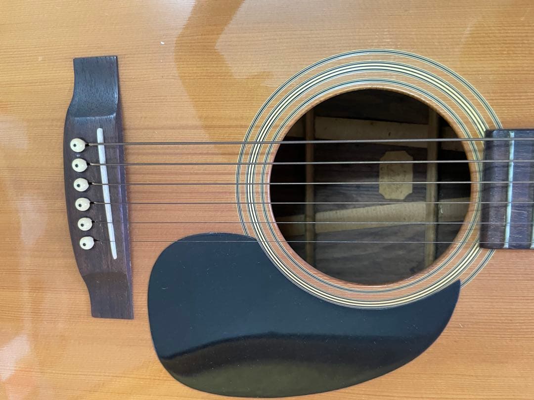 ② Aria Dreadnoughtアコースティックギター ハードケース付き