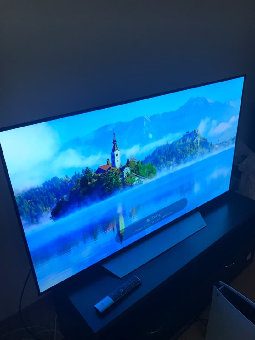 テレビ LG OLED 55v C7with Burn in pickup only