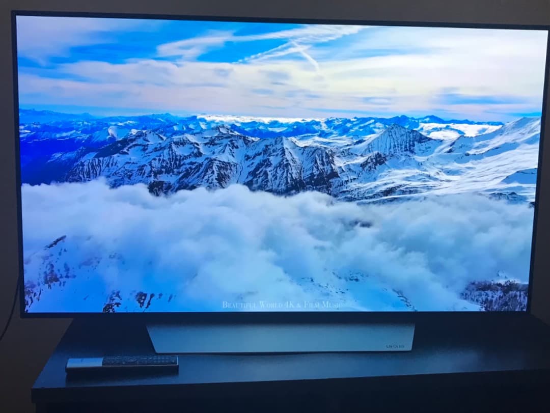 テレビ LG OLED 55v C7with Burn in pickup only