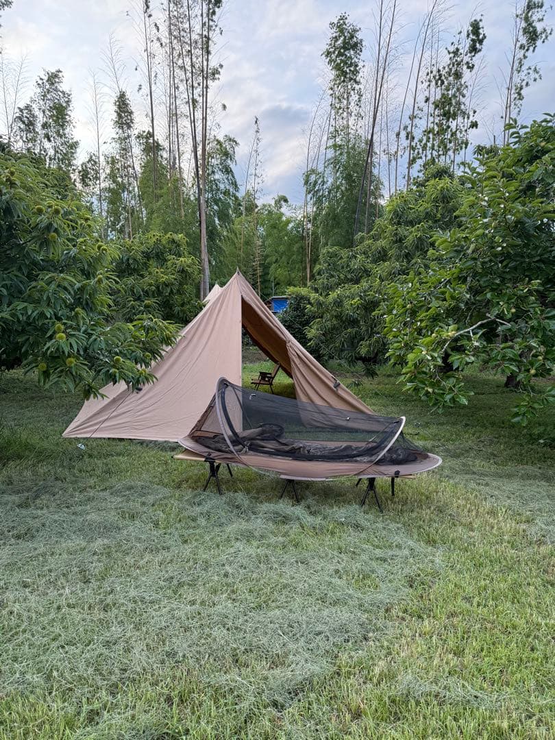 ビジョンピークス　ＴＣバタフライシェルター