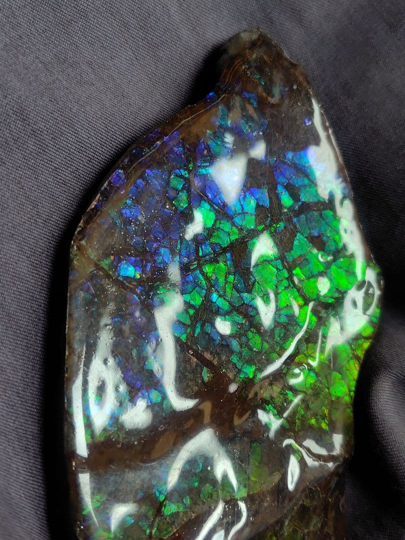 アンモライト　　　鉱物　宝石　化石　アンモナイト　原石