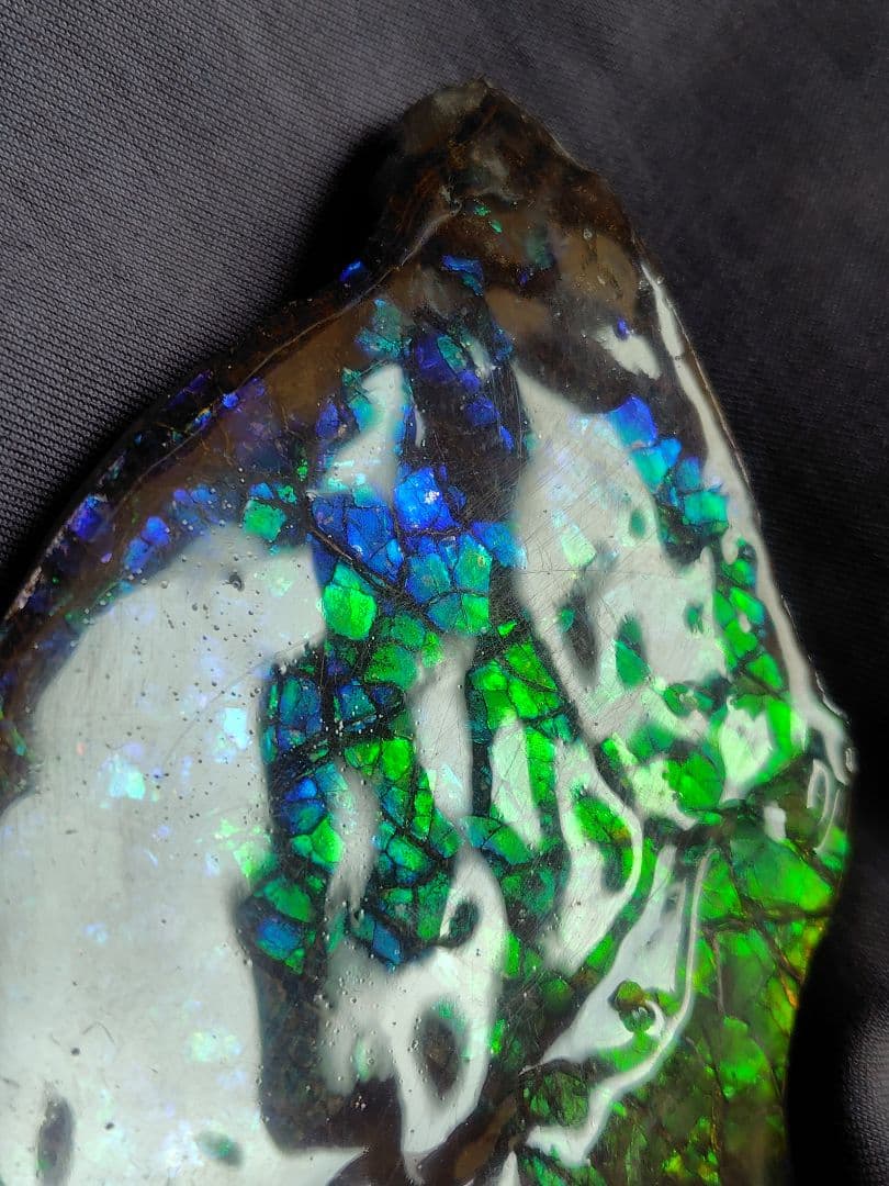 アンモライト　　　鉱物　宝石　化石　アンモナイト　原石