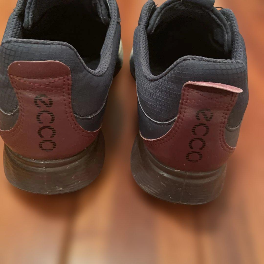 ECCO ゴルフシューズ BOA 41サイズ ネイビー　シューズキーパー付き