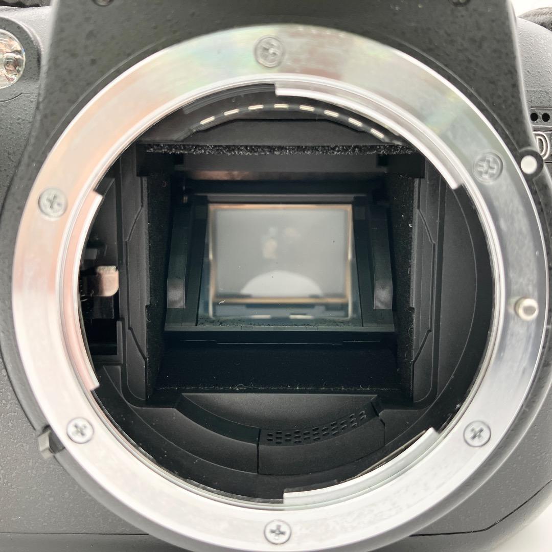 Nikon D5000 18-55 55-200 ダブルズームキット 動作確認済