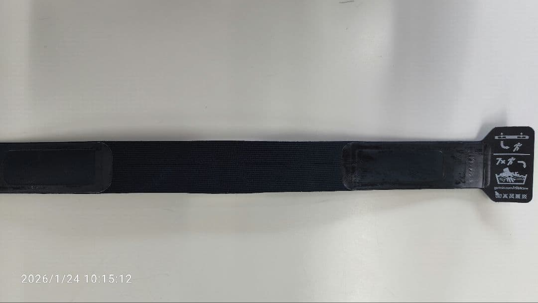 GARMIN　ＨＲＭ-ＰＲＯ ＰＬＵＳ