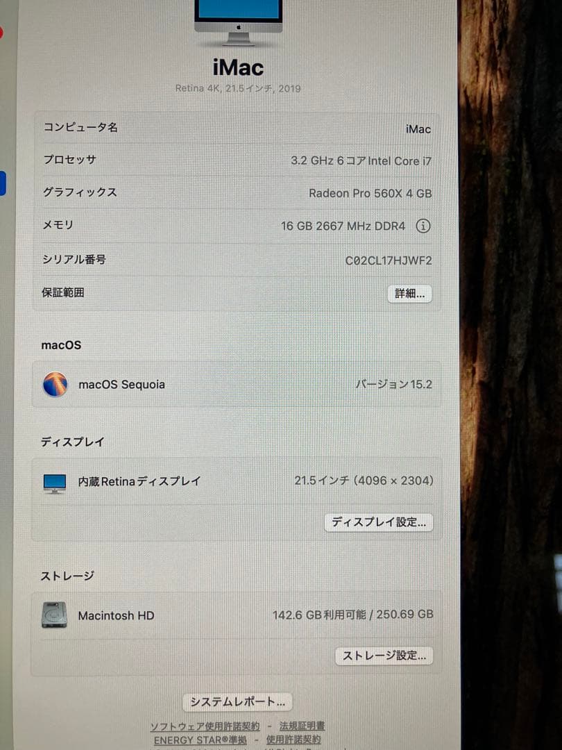 その他 shin