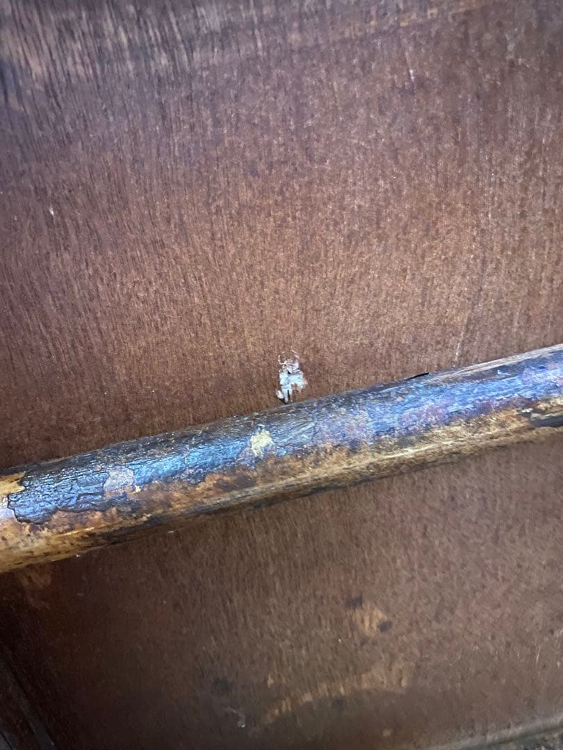 確認ページです。