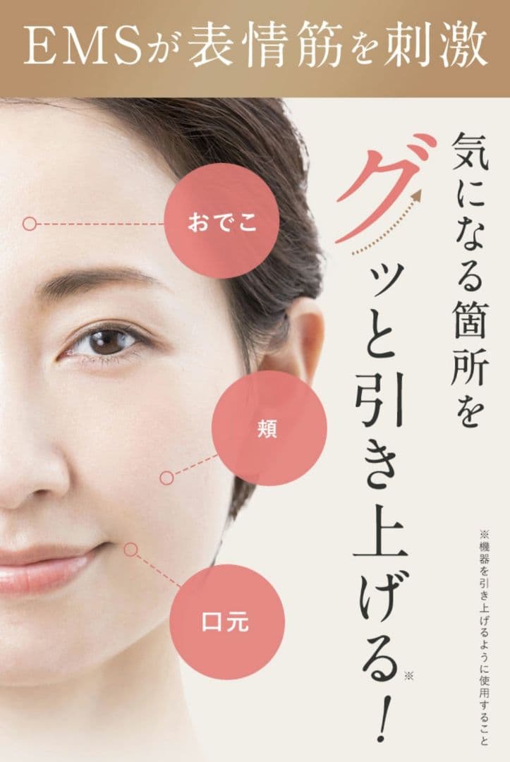 美品✨SALONIA サロニア EMS リフトブラシ