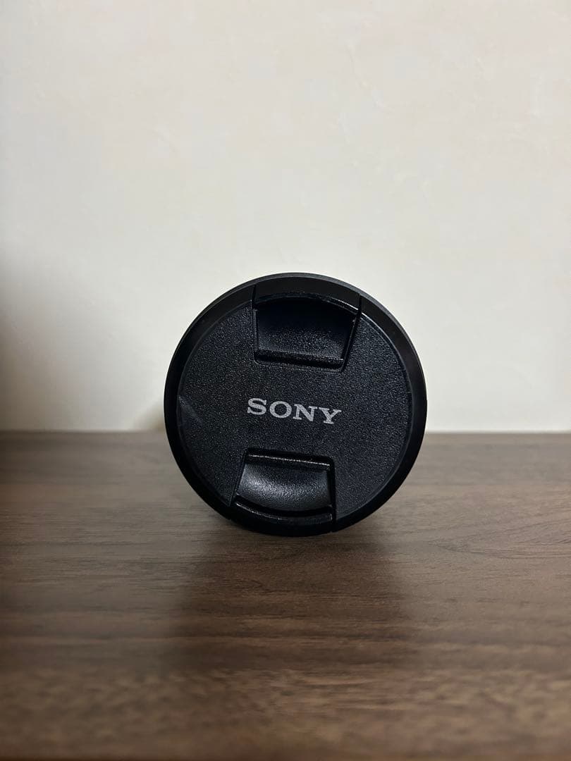 【SONY】FE 24-105mm F4G OSS SEL24105G(中望遠)