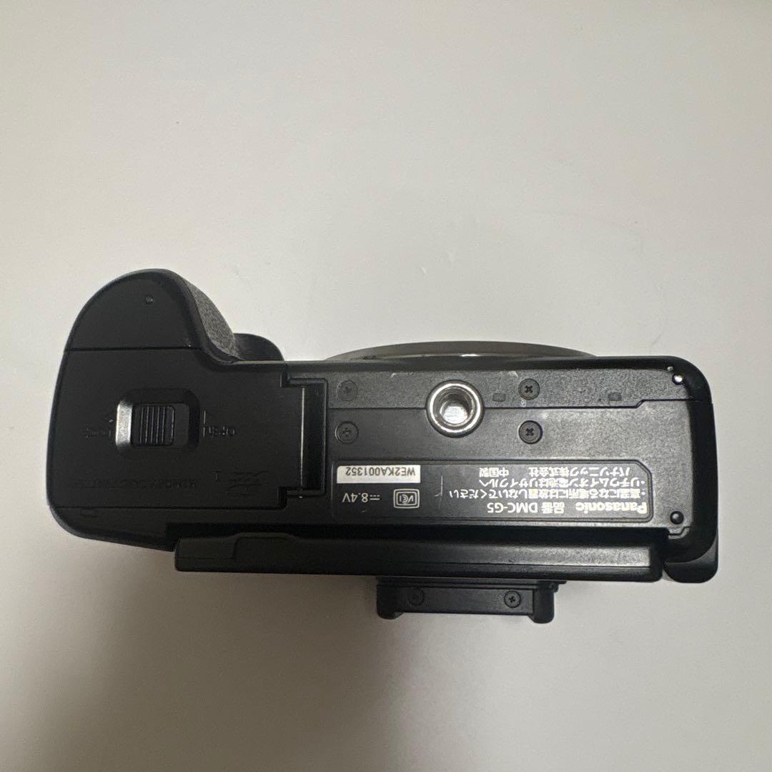 LUMIX DMC-G5 ミラーレス一眼 バッテリーチャージャー付き