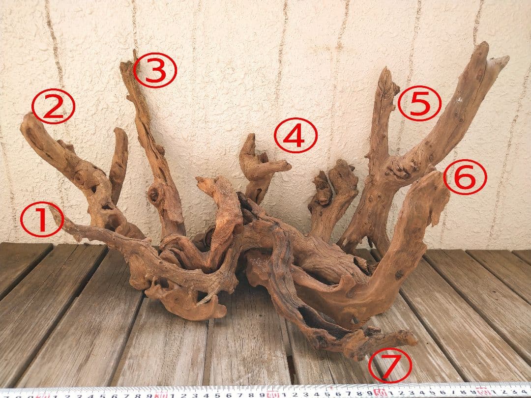 アクアリウム用品　レイアウト 良型 流木 Ｍ Ｌサイズ　７本セット