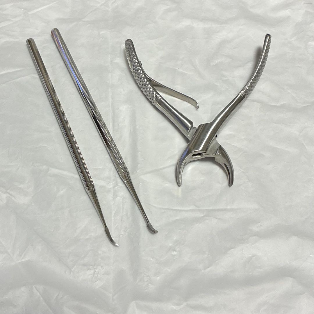 帝塚山ハウンドカム　歯石取りペンチ　スケラー