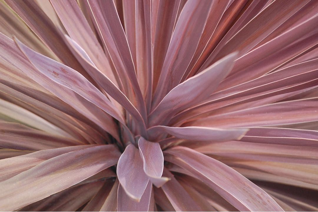 Nikon 望遠レンズ AF-S 55-300mm F/4.5-5.6G 純正