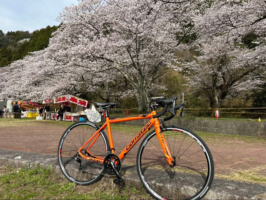 直接引渡し【室内保管】コラテック ドロミテ SHIMANO SORA カーボン