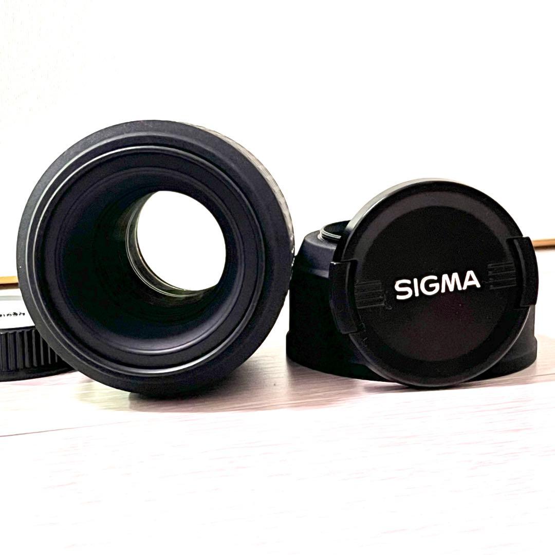 Nikon ニコン SIGMA AF 105mm F2.8 EX MACRO