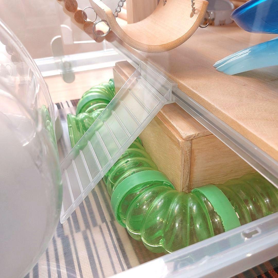 GEX GlassHarmony600Highグラスハーモニー　ハムスターゲージ