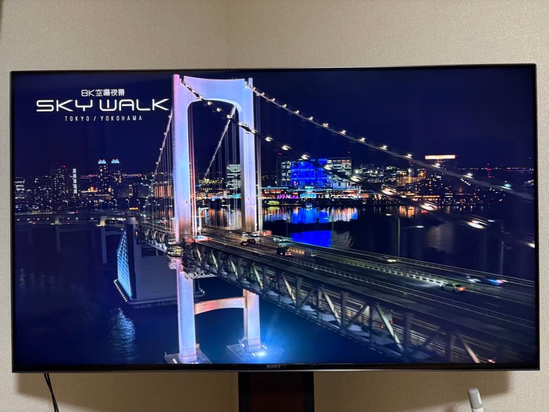 SONY BRAVIA KJ-55X9500H（2021年製）