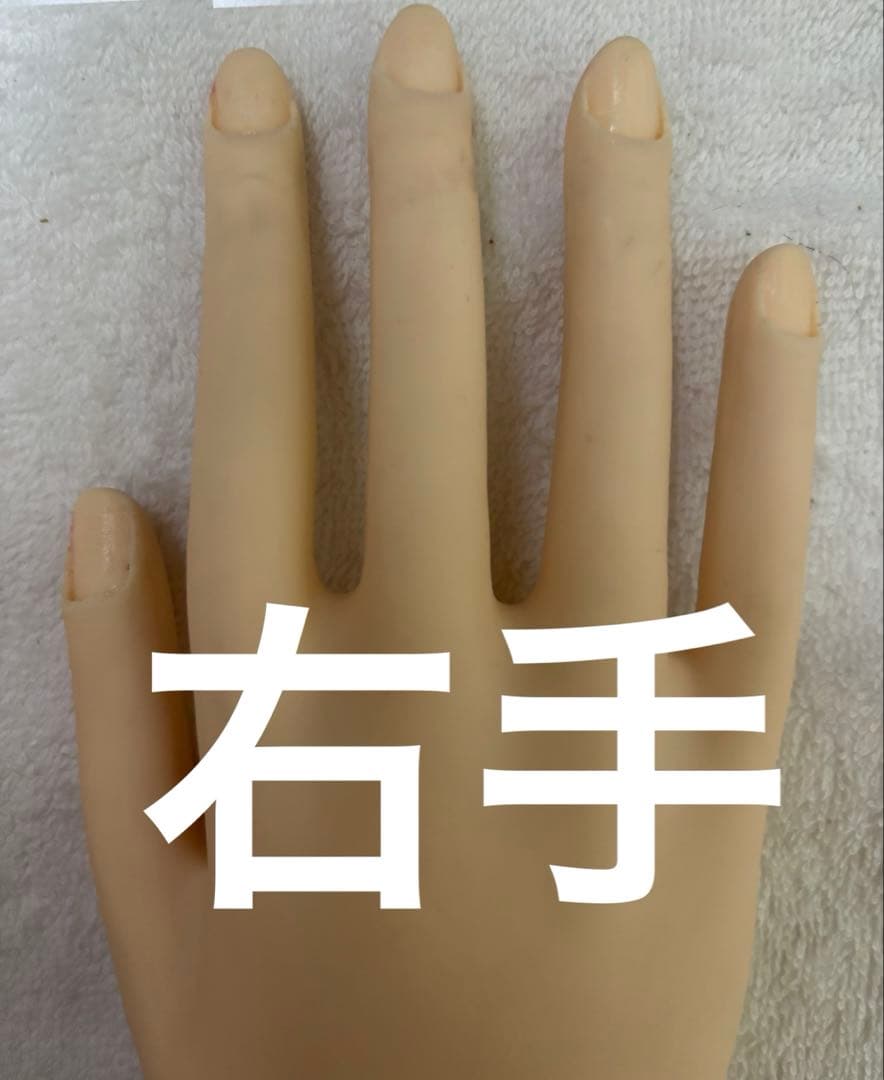 JNEC認定モデルハンドとルースキューティクルシール