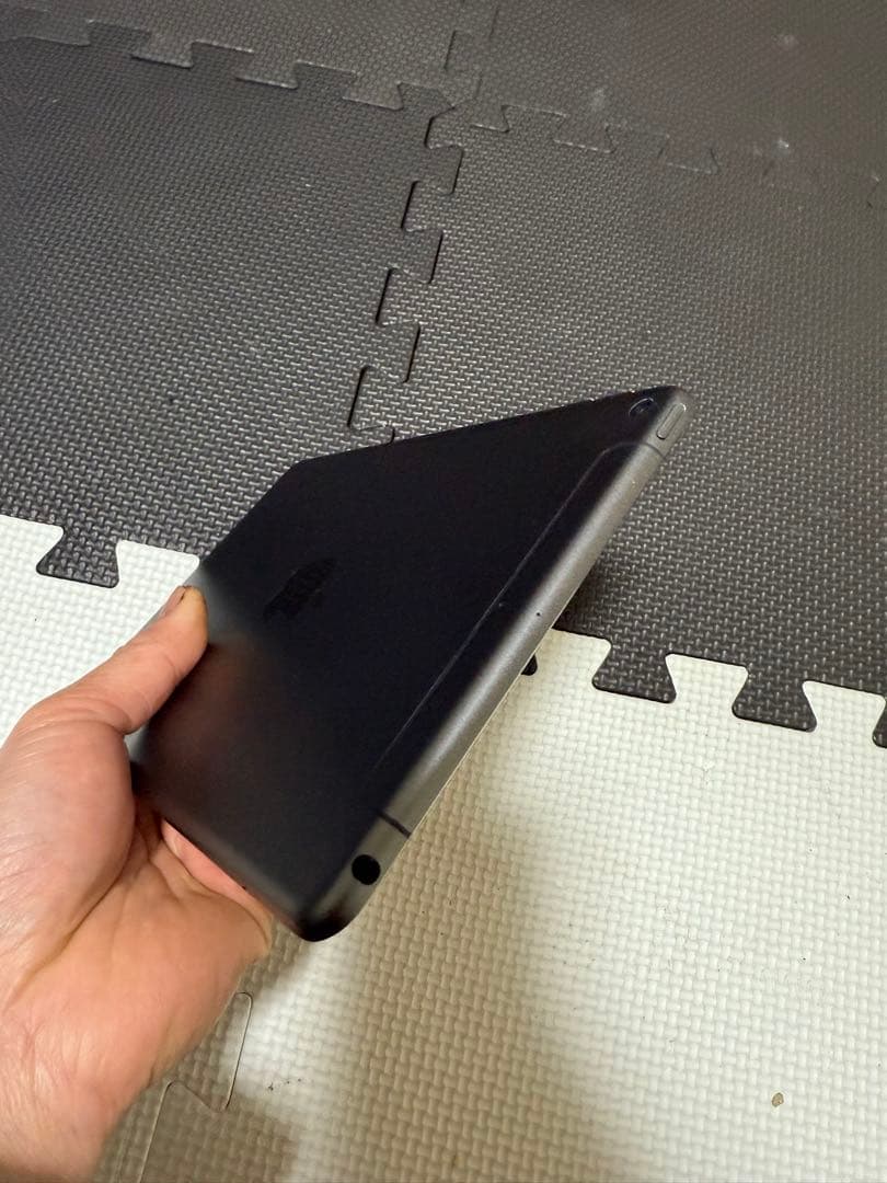 iPad本体 iPad mini 5 64GB Cellular Au