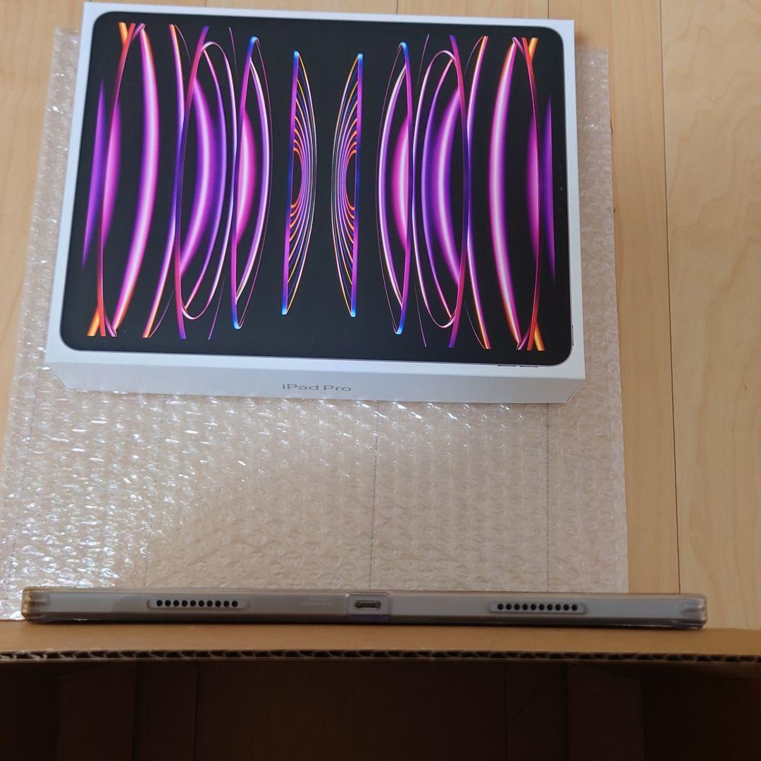 iPad Pro 12.9インチ　第6世代　256GB　Wi-Fiモデル
