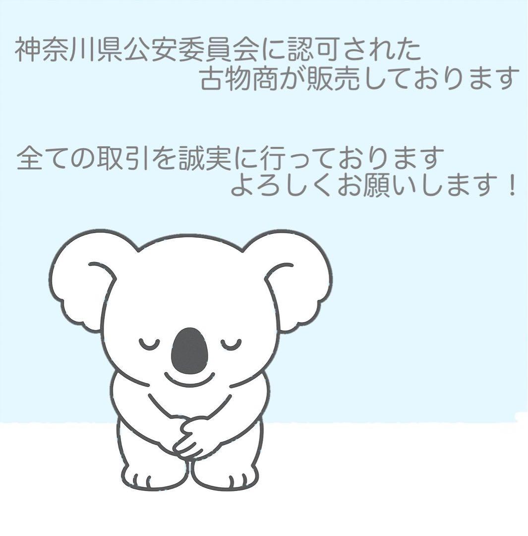 Canon純正 55-250mm 望遠レンズ 美品 a5113