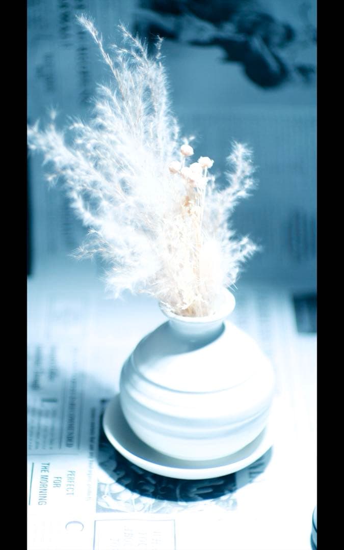 Canon 50mm f1.4 L39 ライカスクリューマウント