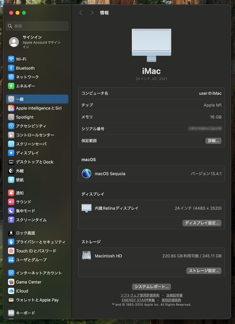 【美品】Apple iMac M1チップ メモリ16G SSD256GB ブルー