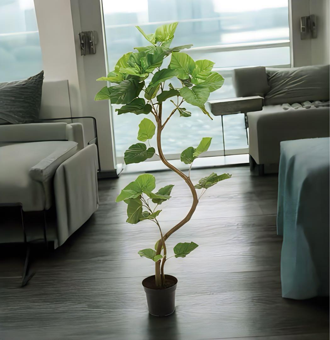 光触媒　人工観葉植物　ウォールグリーン　フェイクグリーン　スパイラルウンベラータ