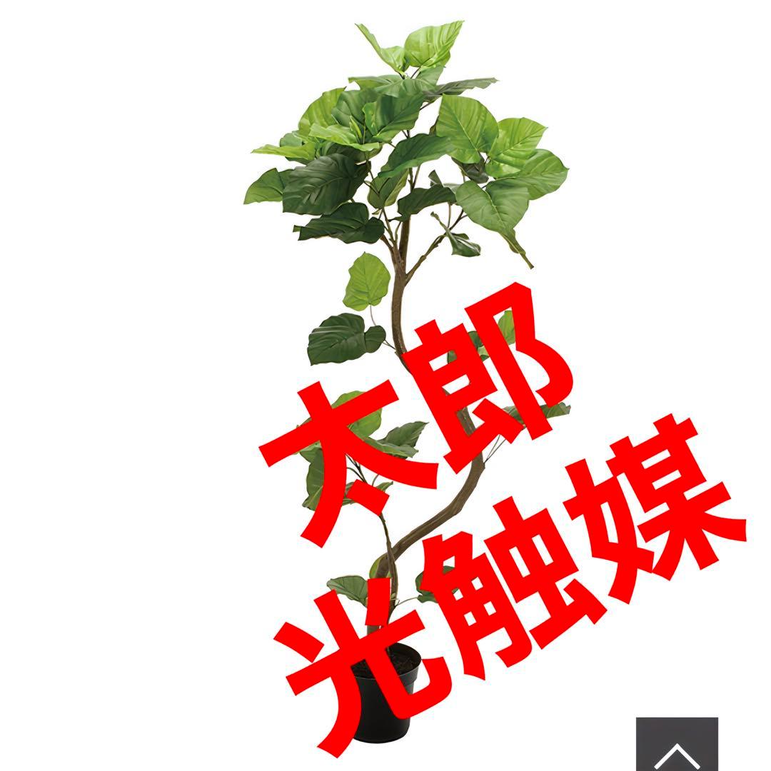 光触媒　人工観葉植物　ウォールグリーン　フェイクグリーン　スパイラルウンベラータ