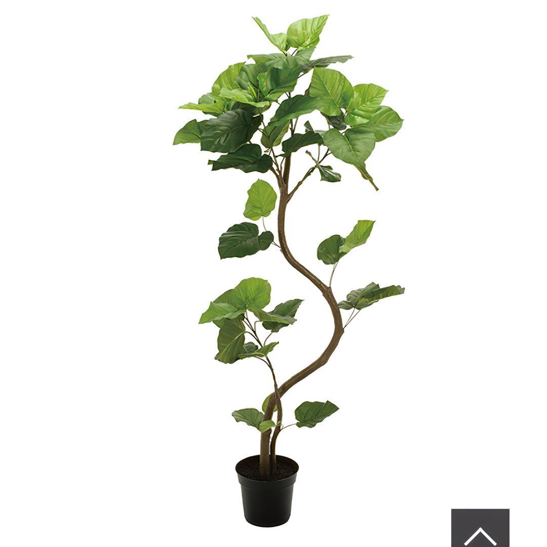 光触媒　人工観葉植物　ウォールグリーン　フェイクグリーン　スパイラルウンベラータ