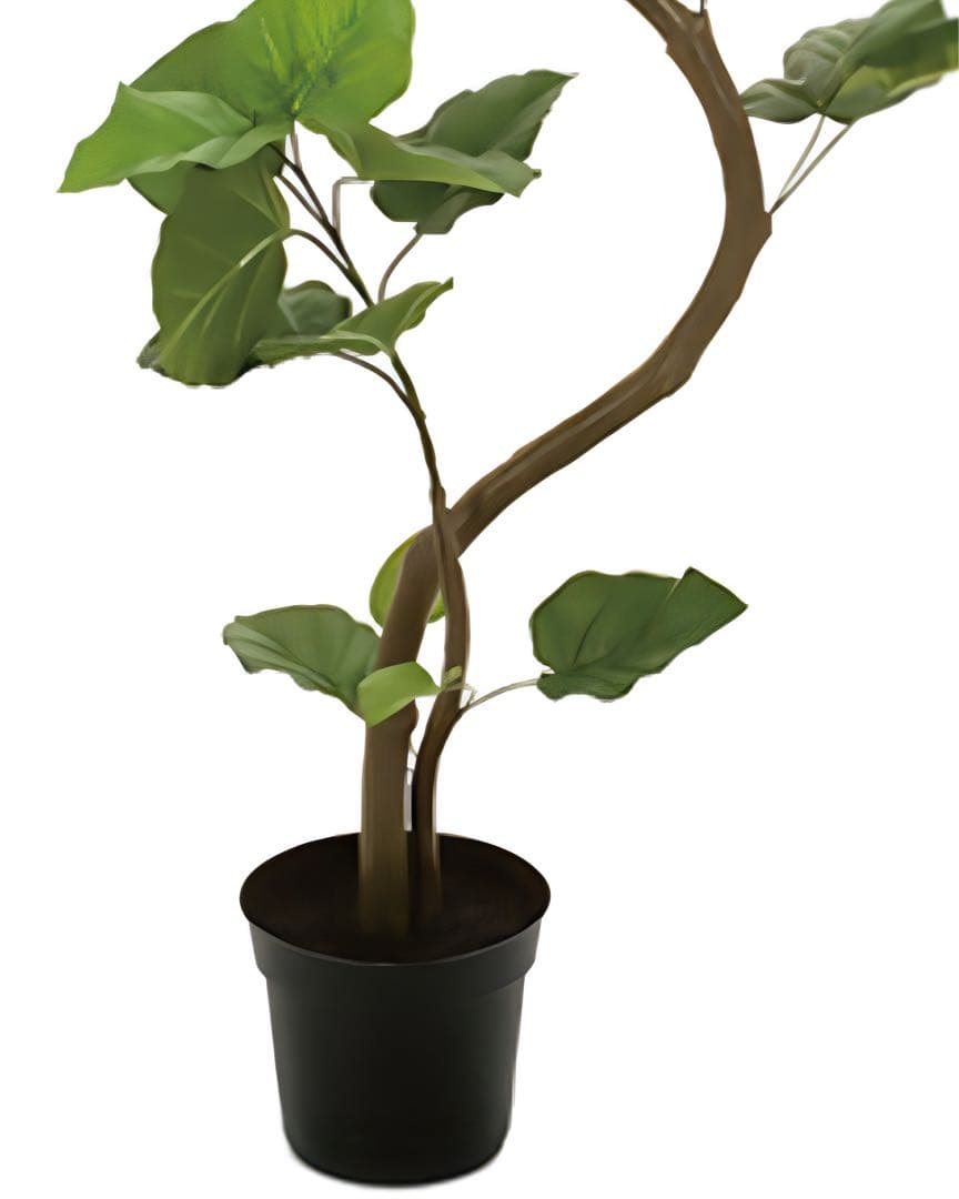 光触媒　人工観葉植物　ウォールグリーン　フェイクグリーン　スパイラルウンベラータ