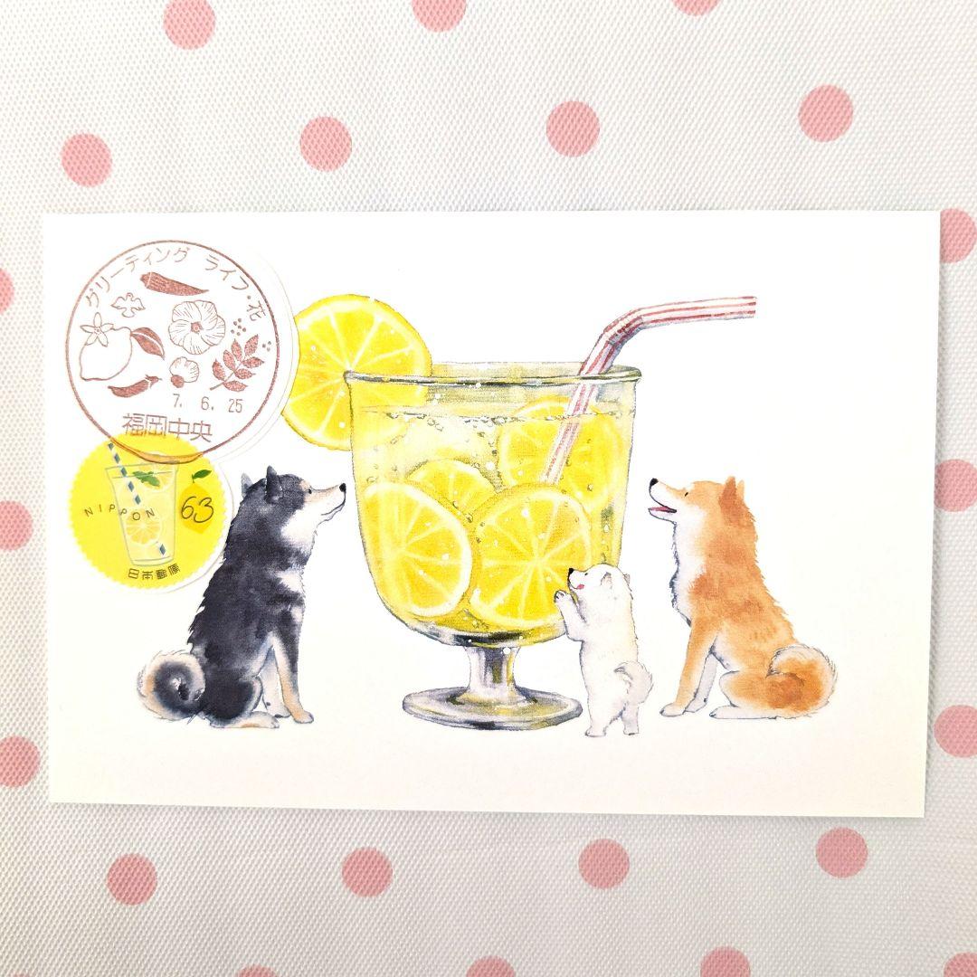 コレクション deen.like.live