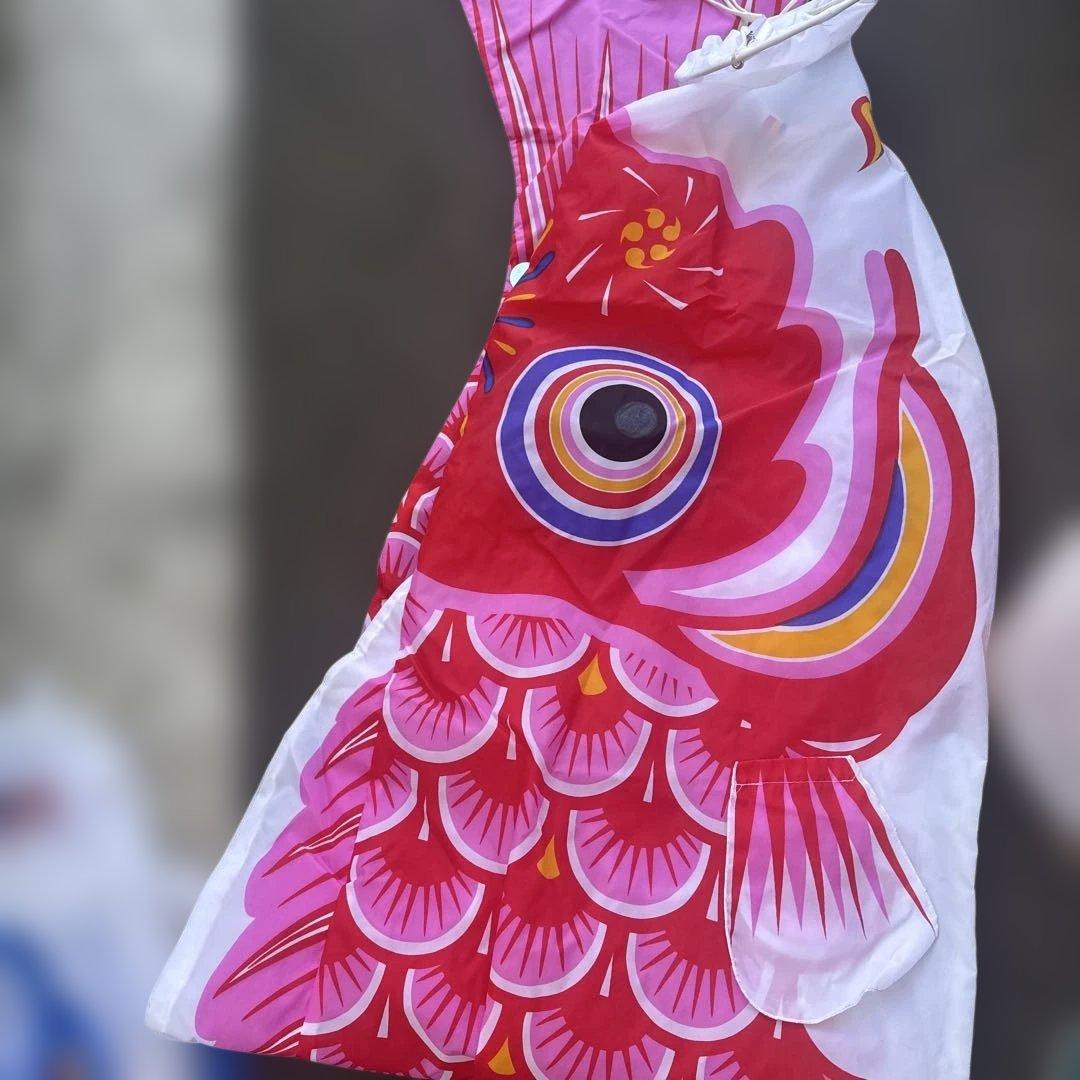 カラフル鯉のぼりセット　太郎鯉