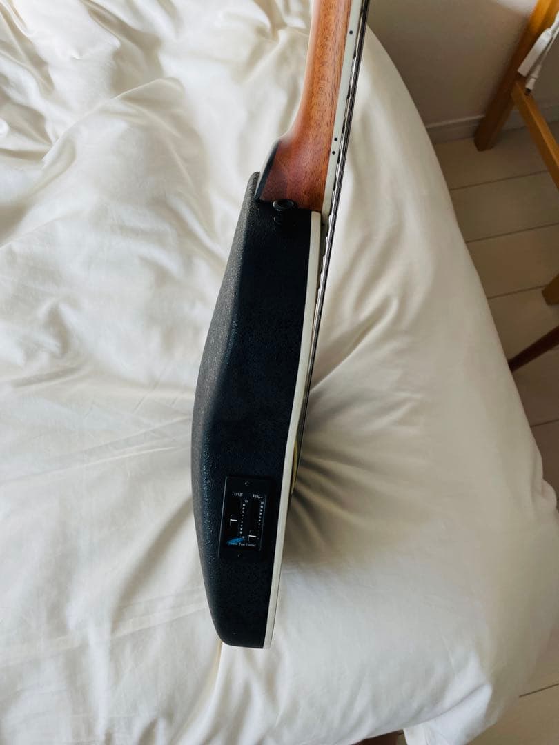 【たいきたいきん】マスタークラフト　ミニエレアコギター