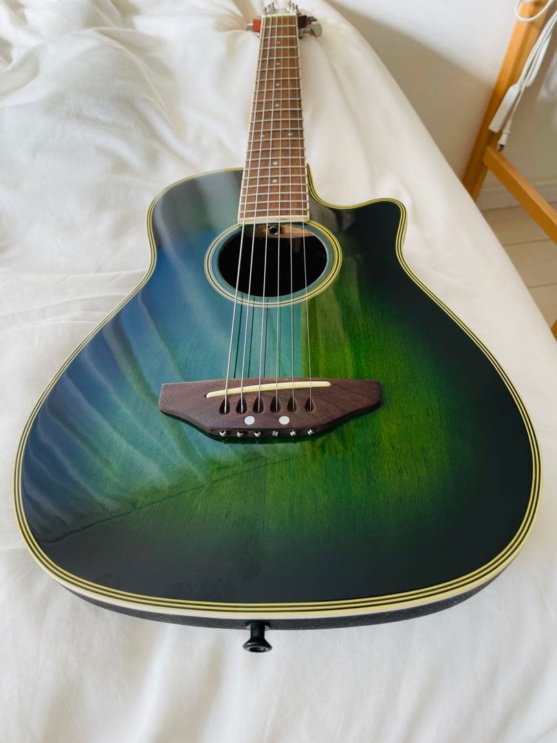 【たいきたいきん】マスタークラフト　ミニエレアコギター