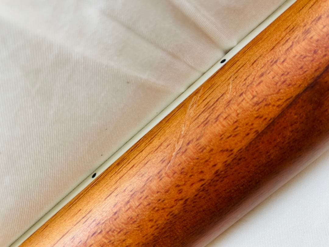 【たいきたいきん】マスタークラフト　ミニエレアコギター